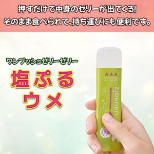 塩ぷるウメ ゼリー (15g×20本) スティ...の詳細画像2