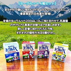 ヨーグルッペ 20本 詰め合わせ (4種類各5...の詳細画像1