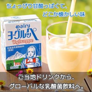 ヨーグルッペ 20本 詰め合わせ (4種類各5...の詳細画像2