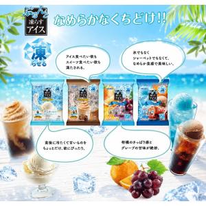 ぷるんと凍らすアイス 6種44個 アソート シ...の詳細画像2