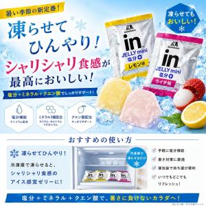 inゼリーミニ 塩分プラス 50個セット レモ...の詳細画像2