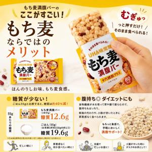 もち麦満腹バー 十六雑穀プラス ほんのりしお味...の詳細画像3