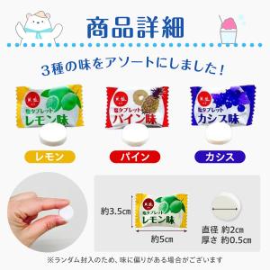 熱中対策 塩あめ 塩タブレット 7種ミックス ...の詳細画像2