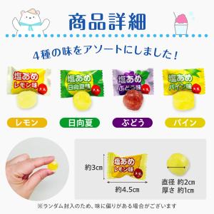 熱中対策 塩あめ 塩タブレット 7種ミックス ...の詳細画像3