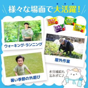熱中対策 塩あめ 塩タブレット 7種ミックス ...の詳細画像4