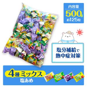 ニッシンドルチェ 10アソート フルーツキャンディ 517g : エクセル福岡