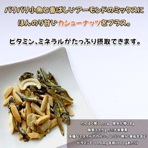 フィッシュ & アーモンド カシューナ...の詳細画像1