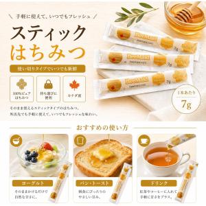 はちみつ スティック 個包装(7g×約60本)...の詳細画像2