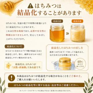 はちみつ スティック 個包装(7g×約60本)...の詳細画像4