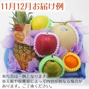 法事 お供え物 果物 かご 盛籠 ご霊前 ご仏...の詳細画像5