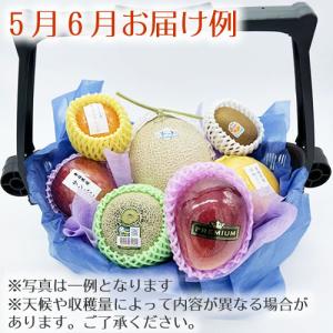 法事 お供え物 果物 かご 盛籠 一周忌 ご仏...の詳細画像3