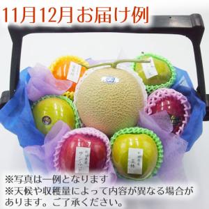 法事 お供え物 果物 かご 盛籠 一周忌 ご仏...の詳細画像5