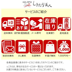 法事のお返し カタログギフト 5000円以下 ...の詳細画像5