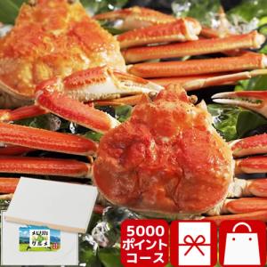 カードタイプ 北海道グルメカタログ ポイント型ギフトカードMemoriCA メモリカ 北海道グルメ 5,000ポイントコース(PE-5000)