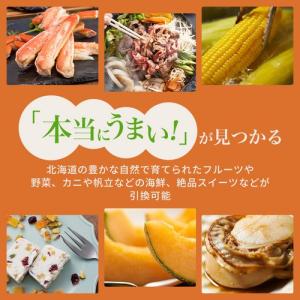 カードタイプ 北海道グルメカタログ ポイント型...の詳細画像3