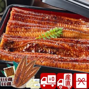 母の日 父の日 プレゼント 送料無料 産地直送 特大 鹿児島県産うなぎ蒲焼セット 永谷園お吸い物付(PFU-022A)｜sikitari