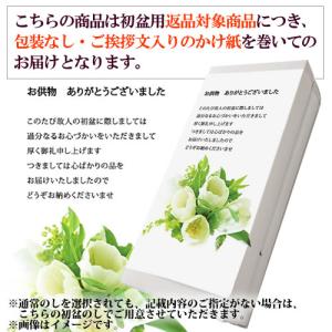 敬老会 粗品 そうめん 香典返し 品物 返礼品...の詳細画像2