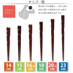 三点支持箸 矯正箸しつけ箸 躾箸 はし上手 大...の詳細画像1