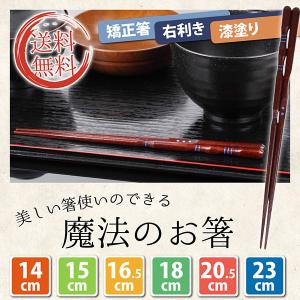 三点支持箸 矯正箸しつけ箸 躾箸 はし上手 大...の詳細画像2