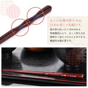 三点支持箸 矯正箸しつけ箸 躾箸 はし上手 大...の詳細画像3