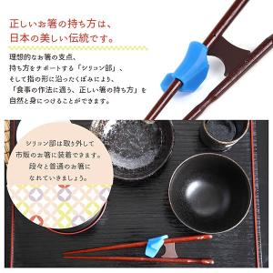 きちんと箸 箸使い 矯正箸 しつけ箸 躾箸 子...の詳細画像2