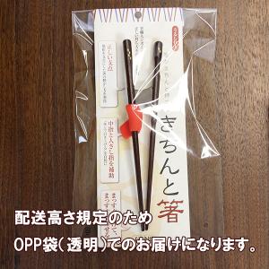 きちんと箸 箸使い 矯正箸 しつけ箸 躾箸 子...の詳細画像4