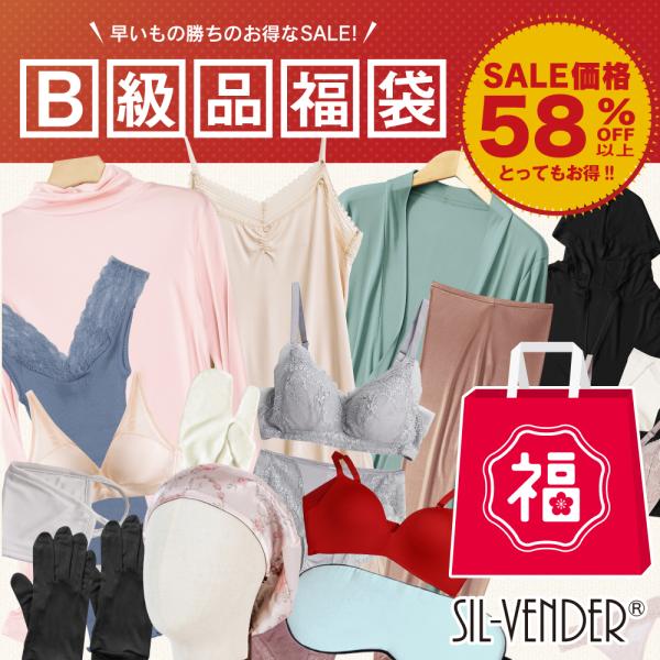 58%OFF以上！シルク B級品福袋 】シルク 福袋 レディース 送料無料 2026 下着 ブラ ブ...
