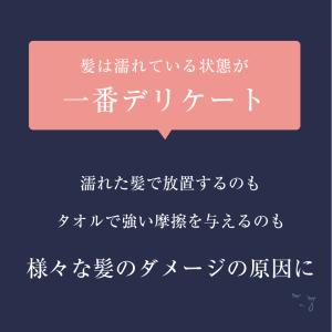 ヘアドライグローブ シルク100% 送料無料 ...の詳細画像5