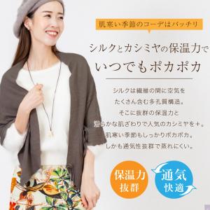 ショール シルク カシミヤ 送料無料 ストール...の詳細画像5