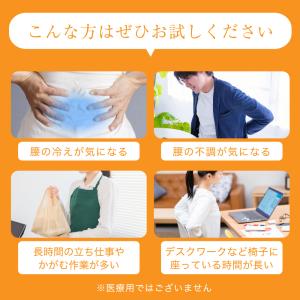 腰サポーター シルク ブレンド 送料無料 腰痛...の詳細画像3