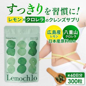 日清ファルマ ビフィコロンS 90カプセル入り パウチ 機能性表示食品