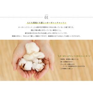 オーガニックコットン冷えとり靴下 ストレスフリーの詳細画像3