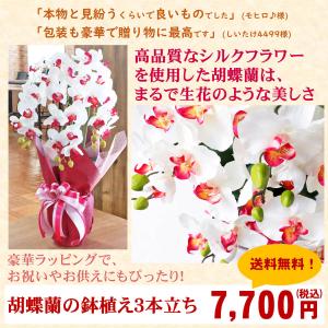 胡蝶蘭 造花 優雅で高貴なシルクフラワーの胡蝶...の詳細画像1