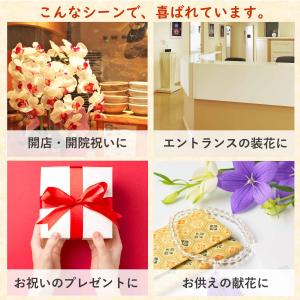 胡蝶蘭 造花 優雅で高貴なシルクフラワーの胡蝶...の詳細画像4