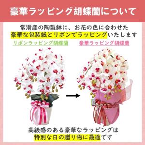 豪華ラッピング付き 造花 胡蝶蘭 常滑産陶製鉢...の詳細画像2