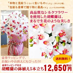 豪華ラッピング付き 造花 胡蝶蘭 常滑産陶製鉢...の詳細画像1