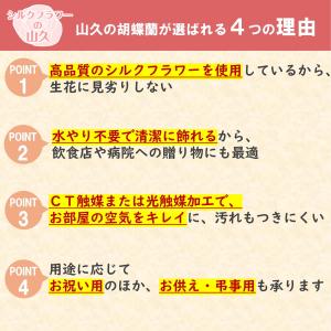 造花 胡蝶蘭 常滑産陶製鉢に入った気品あふれる...の詳細画像5