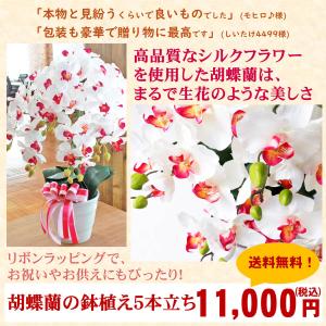 造花 胡蝶蘭 常滑産陶製鉢に入った気品あふれる...の詳細画像1