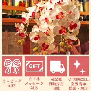 造花 胡蝶蘭 常滑産陶製鉢に入った気品あふれる...の詳細画像3