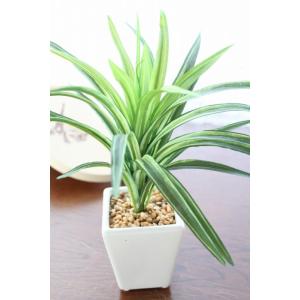 造花 観葉植物 ドラセナミニポット CT触媒の詳細画像1