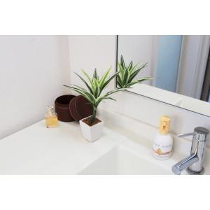 造花 観葉植物 ドラセナミニポット CT触媒の詳細画像2