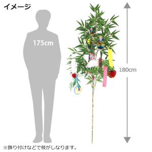 七夕 笹 造花 シルクフラワーの笹竹 180c...の詳細画像3