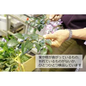 榊 造花 シルクフラワーのお榊 中 一対 オサ...の詳細画像4