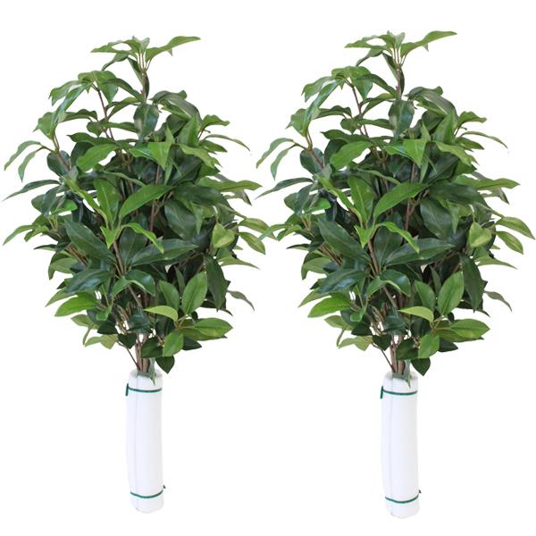 造花 仏花 シキミ 樒 しきび 特大 約65cm 一対 造花 しきみ シルクフラワー お彼岸 お盆 ...