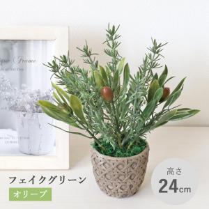 観葉植物 造花 フェイク オリーブとローズマリー...の商品画像
