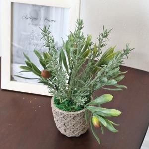 観葉植物 造花 フェイク オリーブとローズマリ...の詳細画像3