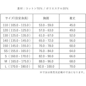 TOMBOW VICTORY トンボ ビクトリ...の詳細画像5