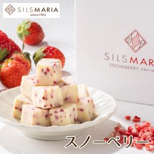 スノーベリー（20粒入り）☆【生チョコ発祥の店シルスマリア】