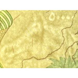 【保証書付】50000イラクディナール紙幣5枚の詳細画像2