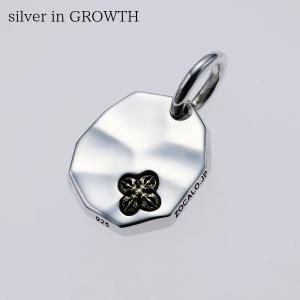 ZOCALO（ソカロ） CBD・フェザー・ペンダントトップ ZPDS0114 : silver
